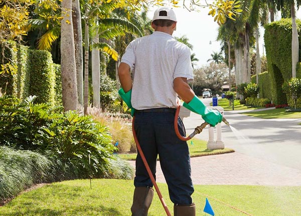 About Centerville PA Pest Control